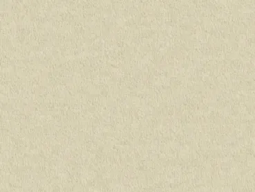 Preview: Modena 6A68 hellbeige – rechteckige Draufsicht auf hellbeigen Veloursboden als Meterware